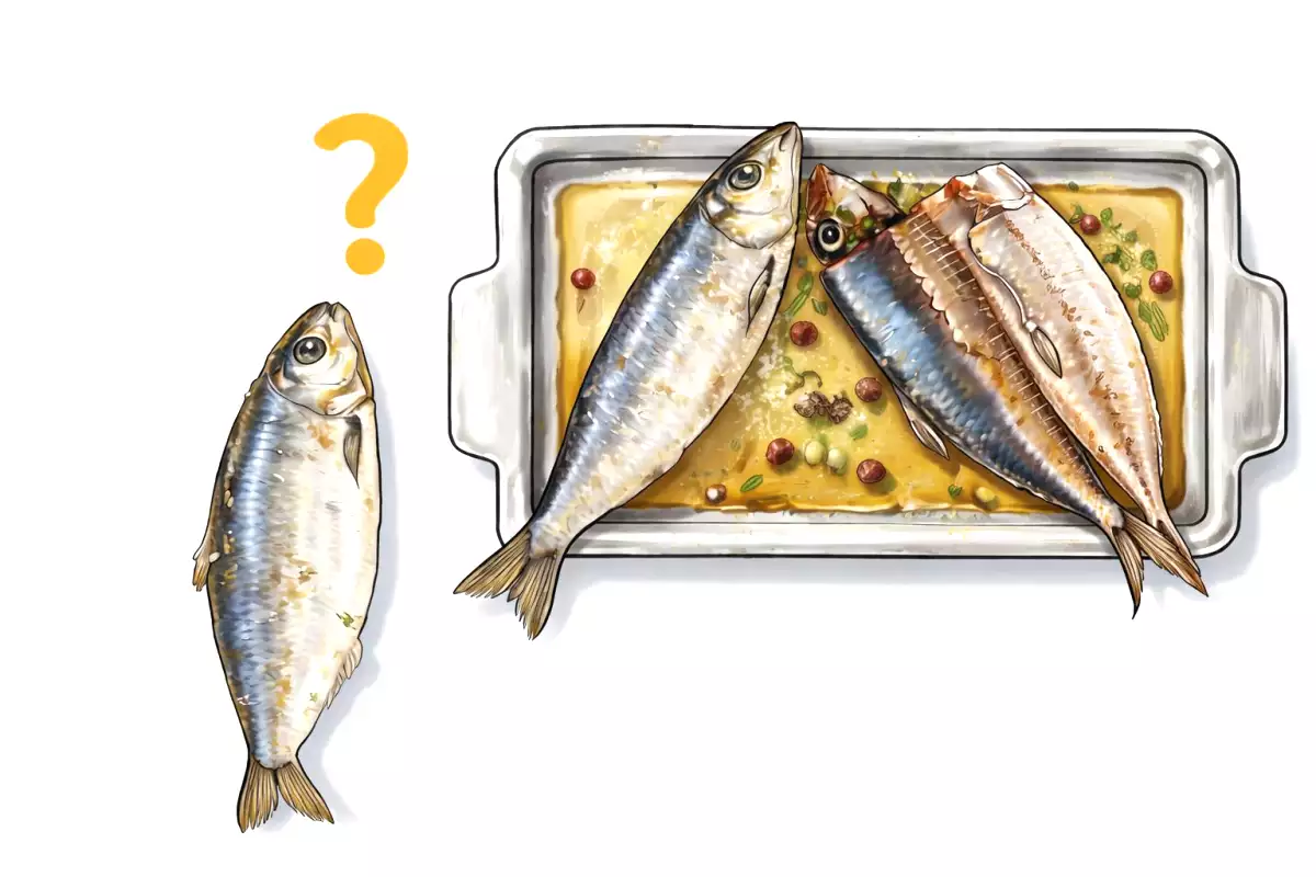 1. Prvý krok: pochopenie typu sardiniek