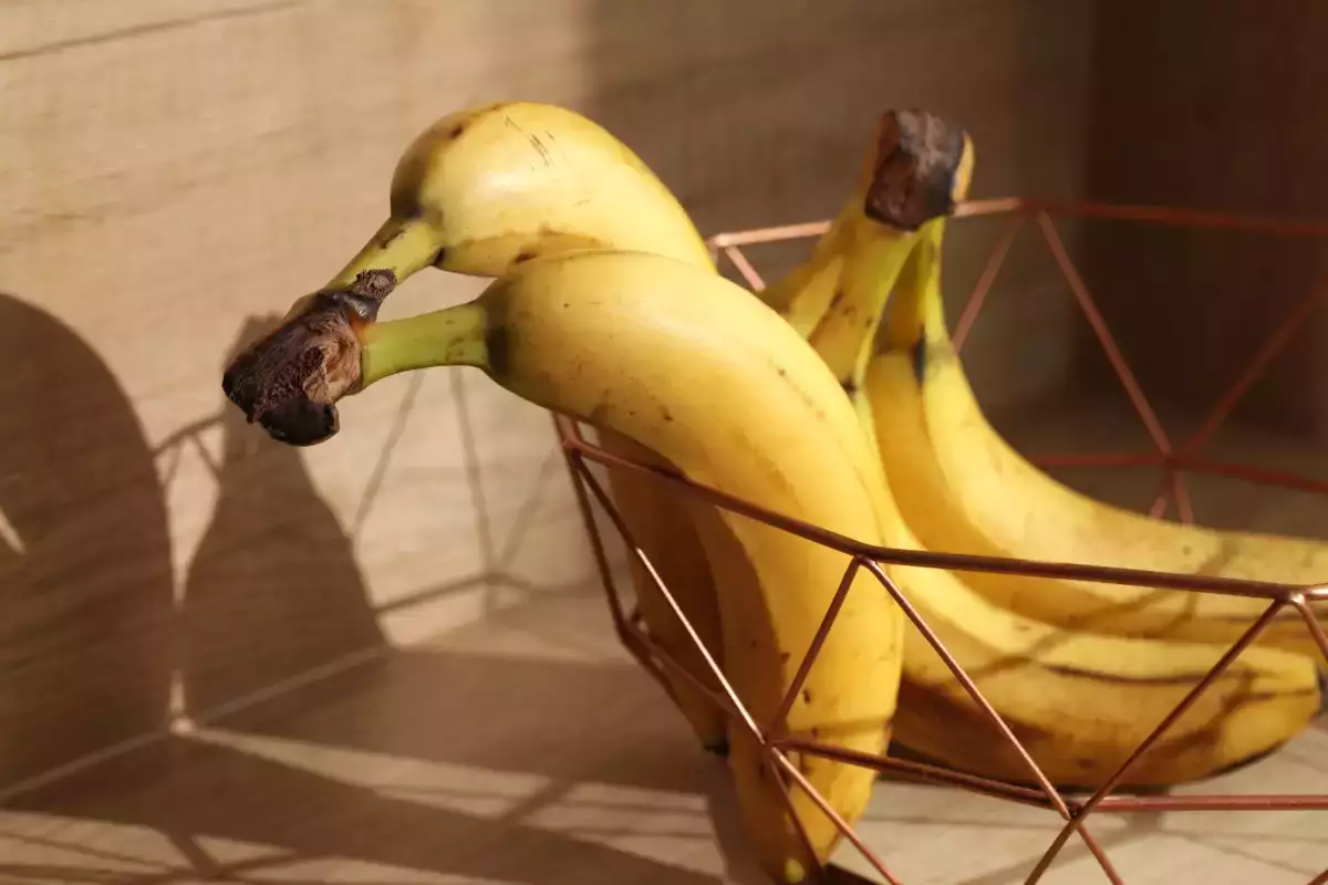 Mali by ste naozaj uchovávať banány v chladničke - jasná odpoveď