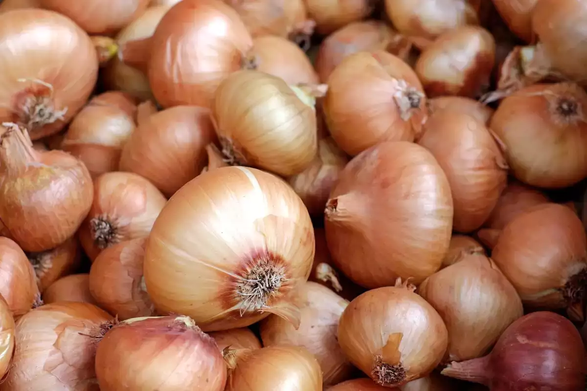 Proti odpadu: Tu je dôvod, prečo by ste nemali vyhadzovať šupky z cibule do koša!