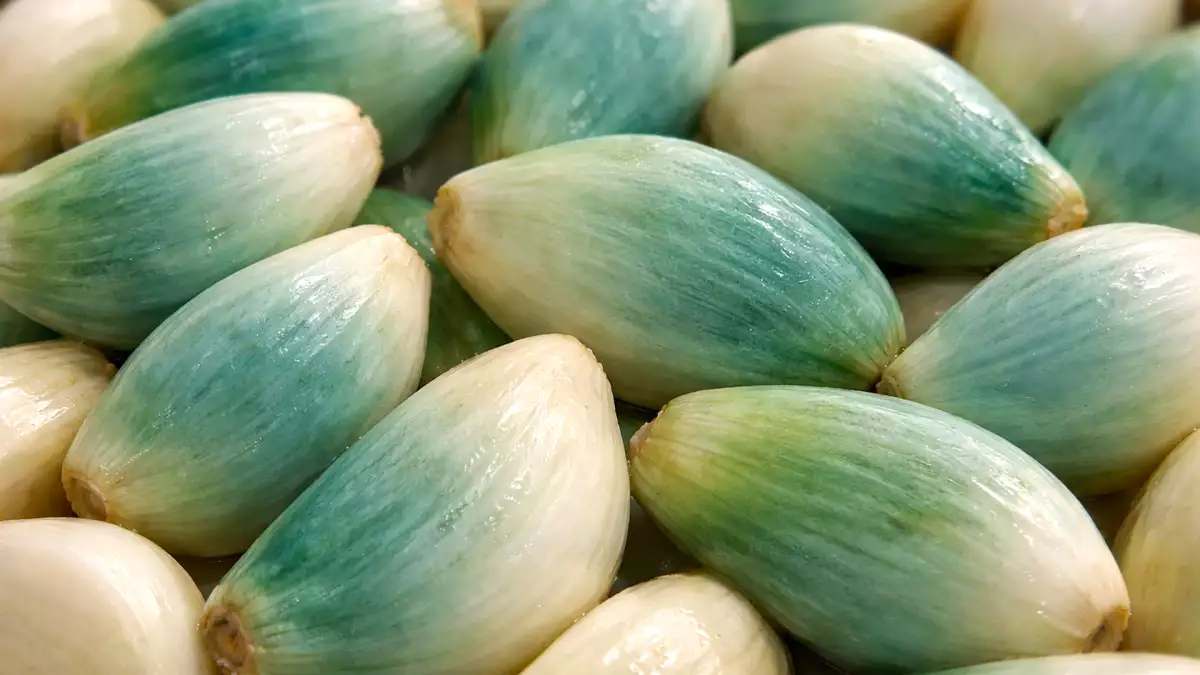 Zelený alebo modrý cesnak vo vašej kuchyni? Mnohí ľudia ho vyhadzujú bez toho, aby si uvedomili, čo v skutočnosti znamená