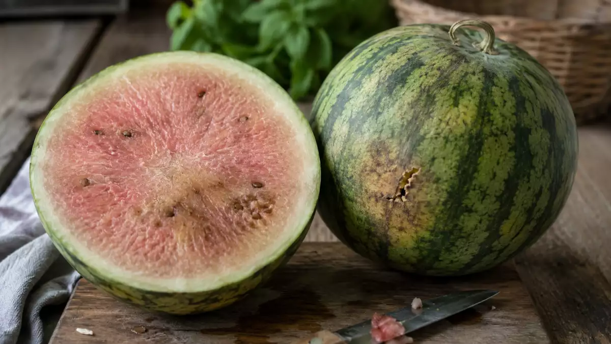 Ako spoznať, že melón nie je dobrý? Naše najlepšie tipy!