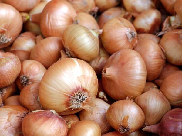 Proti odpadu: Tu je dôvod, prečo by ste nemali vyhadzovať šupky z cibule do koša!