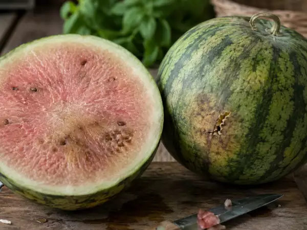 Ako spoznať, že melón nie je dobrý? Naše najlepšie tipy!