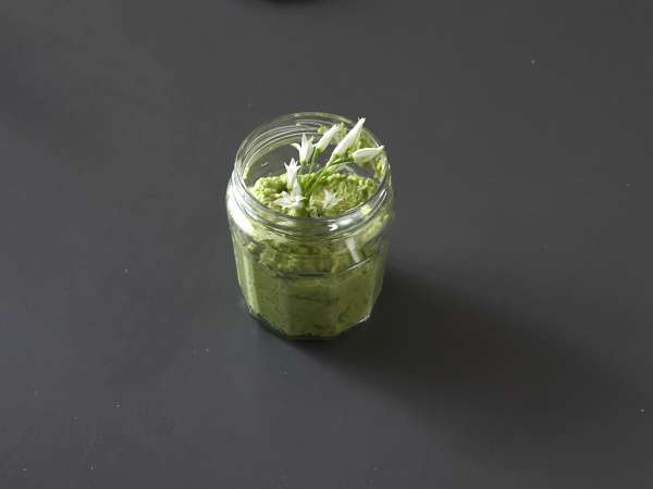 Medvedie cesnakové pesto, voňavé a veľmi chutné! - Príprava krok 4
