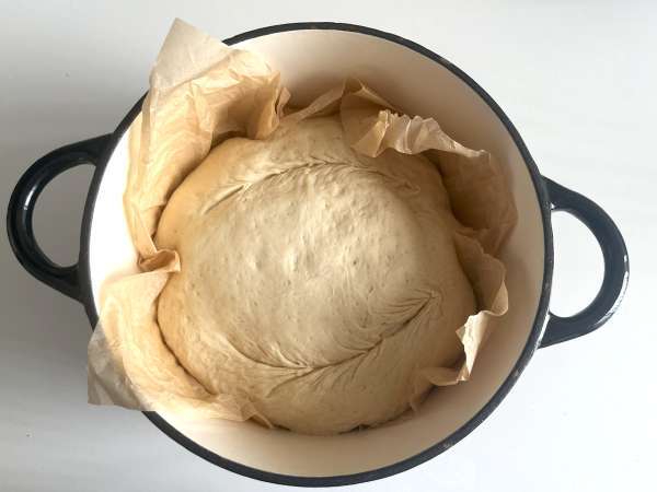 Super jednoduchá bolesť cocotte - Príprava krok 6