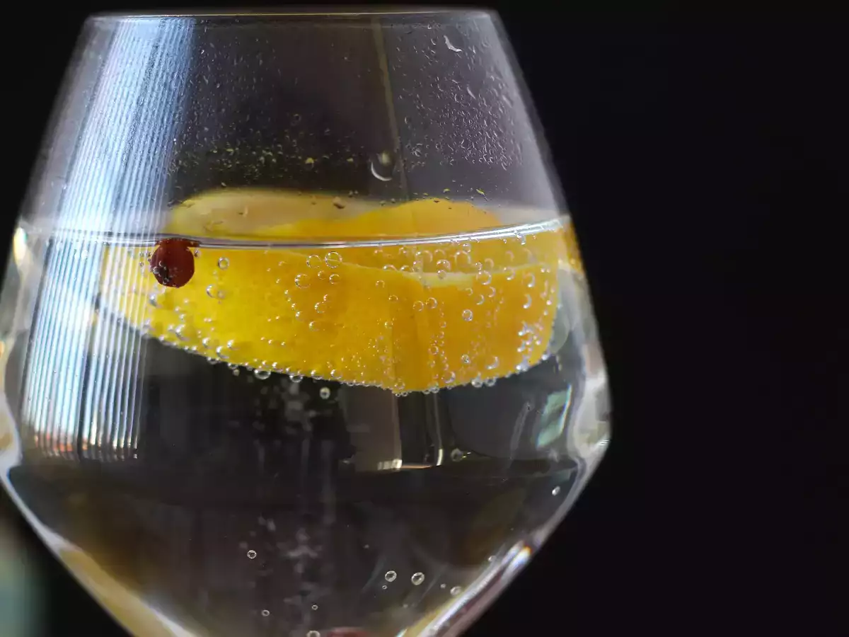 Gin s tonikom, základný aperitívny koktail! - foto 5