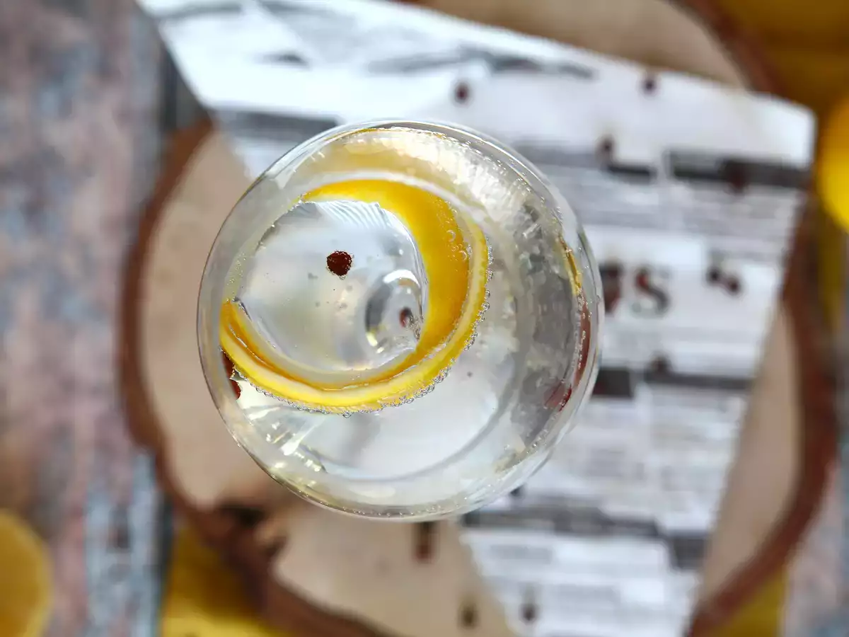 Gin s tonikom, základný aperitívny koktail! - foto 6