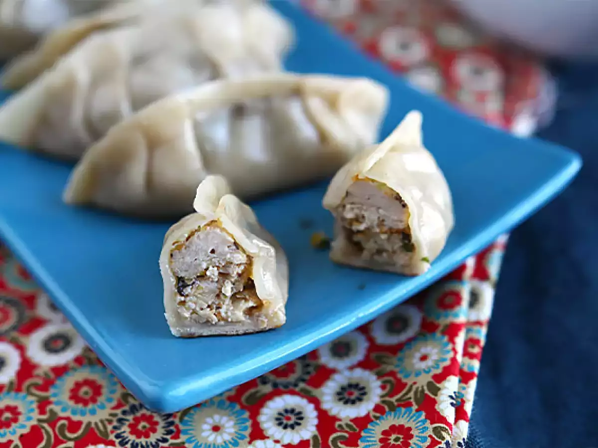 Gyozas s kuracím mäsom, mrkvou a hubami - foto 5