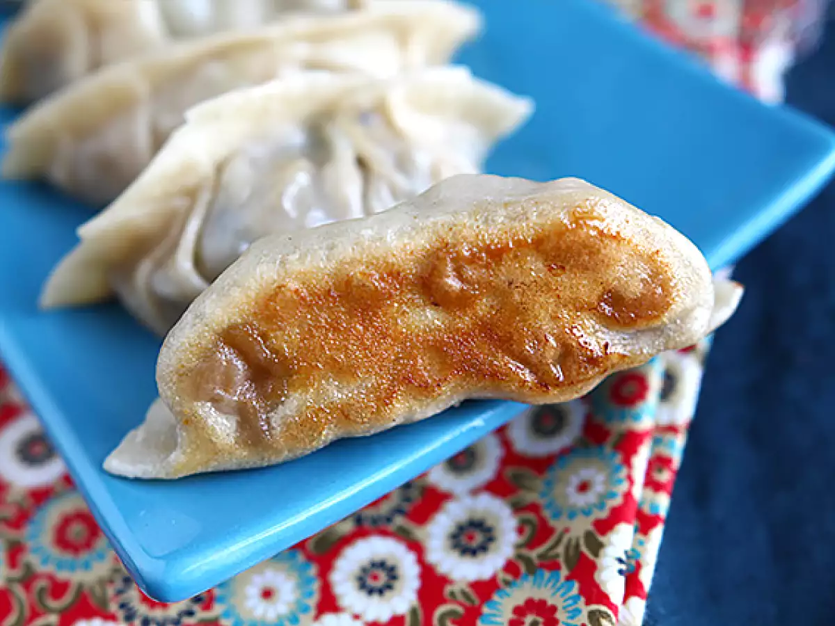 Gyozas s kuracím mäsom, mrkvou a hubami - foto 8